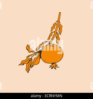 Hand gezeichnete abstrakte Vektor-grafische Illustration Sammlung mit stilisierten Granatapfelzweig Frucht im Zeichentrickstil.trendy moderne saftige Frucht Stock Vektor