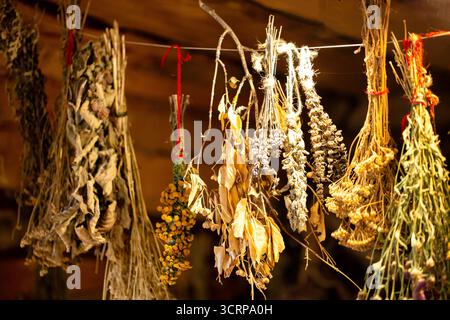 Getrocknete Bündel von Heilkräutern hängen in einer dortigen Kräuterapotheke. Minze, Zitronenmelisse, Kamille und Ringelblume sind gut für die Gesundheit. Stockfoto