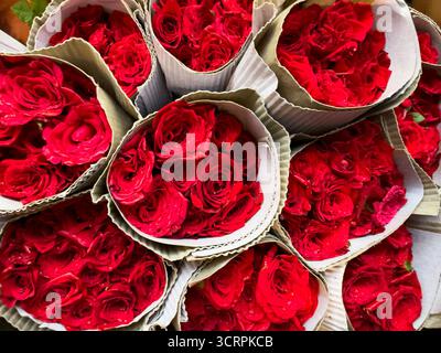 Eine lebendige Ausstellung frisch geernteter roter Rosen, die in einem rustikalen Bambuskorb auf einem geschäftigen Blumenmarkt im Freien aufgehäuft sind und unter natürlichem Sonnenlicht leuchten Stockfoto