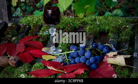 Ein Glas Rotwein auf einem verwitterten Stuhl. Trauben, Herbstblätter. Herbstliche Landschaft. Stockfoto