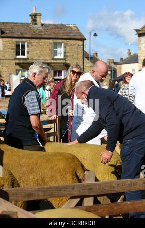 40. Masham Sheep Fair 2025, North Yorkshire, England, Vereinigtes Königreich Stockfoto