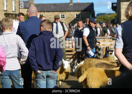 40. Masham Sheep Fair 2025, North Yorkshire, England, Vereinigtes Königreich Stockfoto