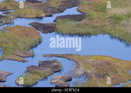Blick aus der Vogelperspektive auf die lebendigen Feuchtgebiete und das blaue Wasser des Kraters Rano Kau Stockfoto