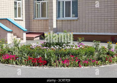 Kleines mehrfarbiges Blumenbeet in der Nähe des Hauses in Kiew, Europa. Malerische Aussicht auf farbenfrohe Blumen im Sommer Stockfoto