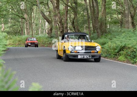 TR6 Triumph 2-Sitzer Classic Car auf Landspur Stockfoto