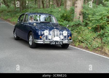 Jaguar mk II, Mark 2 3,4 Oldtimer auf Landspur Stockfoto