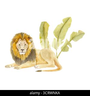 Handgemalte Aquarellillustration eines majestätischen Löwen und Bananenbaums im Hintergrund Stockfoto