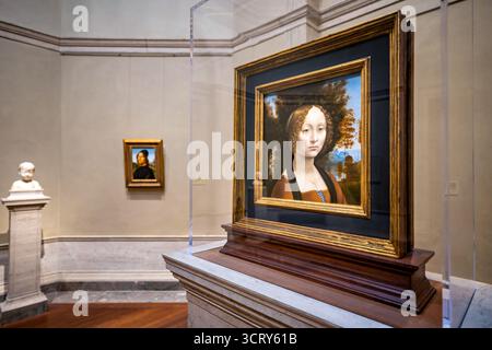 National Gallery of Art Ginevra de Benci Gemälde Washington DC // WASHINGTON DC — Ginevra de' Benci, ein Gemälde von Leonardo da Vinci (ca. 1474–1478), ist in der National Gallery of Art zu sehen Es ist das einzige Gemälde von Leonardo da Vinci in Amerika. Im Hintergrund ist auch das Porträt eines Mannes von Pietro Perugino (ca. 1488–1490) zu sehen. Diese bedeutenden Kunstwerke der Renaissance sind Teil der umfangreichen Sammlung in der National Gallery of Art, einer prominenten Institution in Washington DC, die sich der Erhaltung und Ausstellung von Kunst widmet. Stockfoto