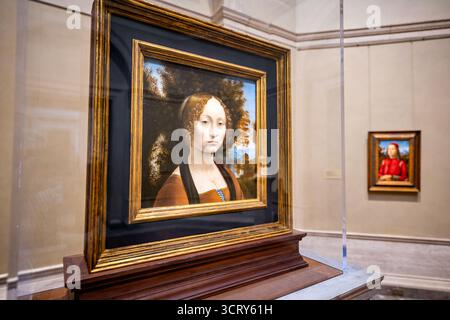National Gallery of Art Ginevra de Benci Washington DC // WASHINGTON DC — Leonardo da Vincis Ginevra de’ Benci, ein Ölgemälde und das einzige Werk des Künstlers in Amerika, wird in der National Gallery of Art hervorgehoben Dieses Porträt aus der Frührenaissance, datiert um 1474–1478, ist ein Eckpfeiler der Museumssammlung. Im Hintergrund ist auch Agnolo (oder Donnino) di Domenico del Mazziere’s Portrait of a Youth, eine Tempera auf der Tafel von ca. 1495–1500, zu sehen. Die National Gallery of Art ist eine renommierte Institution in Washington, D.C., die eine umfassende Sammlung von AR beherbergt Stockfoto