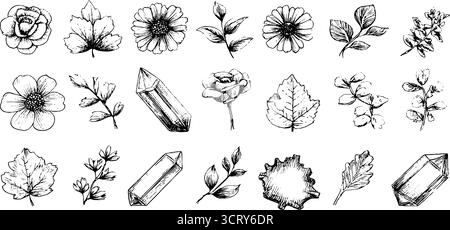 Handgezeichnete Kritzelsymbole Set aus geschwungenen Rahmen und botanischen Elementen für Designprojekte. Stock Vektor