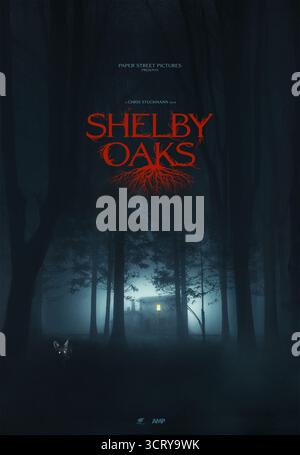 Shelby Oaks (2025) von Chris Stuckmann mit Camille Sullivan, Brendan Sexton III und Michael Beach. Eine Frau sucht nach ihrer vermissten Schwester, in einer verlassenen Stadt. NUR ZUR REDAKTIONELLEN VERWENDUNG des US-Advance-Posters. Quelle: BFA/Neon Stockfoto