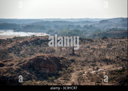 Wunderschöne Landschaft des Mapungubwe Nationalparks in Südafrika mit dem Limpopo River und Simbabwe im Hintergrund Stockfoto