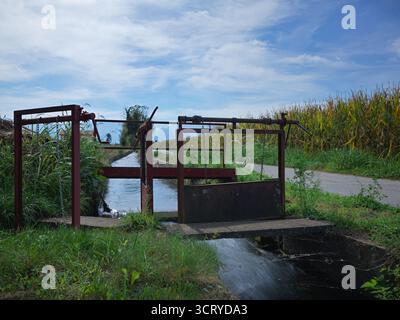 Bewässerungskanal mit Anschnittsystem in den Erntefeldern Stockfoto