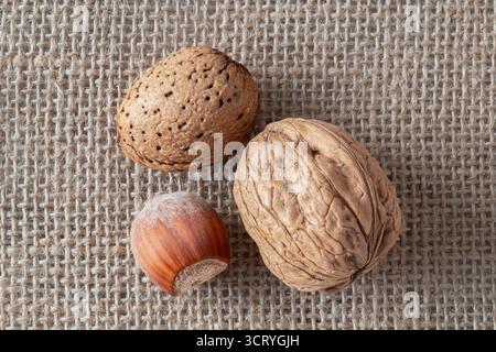 Nahaufnahme von Mandeln, Walnüssen und Haselnüssen mit ihren Muscheln auf weißem Marmor Stockfoto