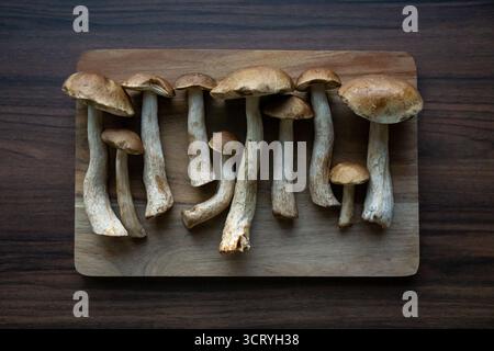 Frische Stachelpilze auf Holzbrett angeordnet rustikale Lebensmittel Hintergrund biologische kulinarische Zutat. Stockfoto