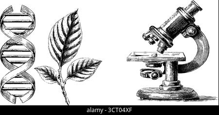 Biotechnologie und dna: Vintage-Illustrationsset mit Mikroskop und Blatt für Design-Zwecke. Stock Vektor