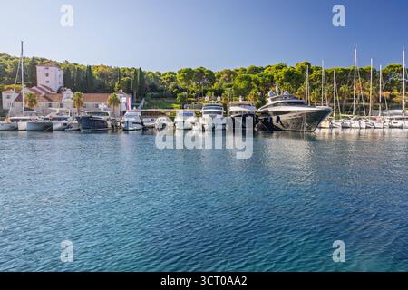 Eine Reihe von eleganten Motoryachten, die in einem ruhigen Yachthafen vor Anker liegen, umgeben von üppigen Bäumen und einem hellblauen Himmel. Diese Szene vermittelt Luxus, Freizeit, Reisen und Stockfoto