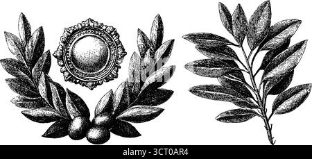 Set mit Vintage-Medaillon-Ornament und Lorbeerzweig-Gravur für Design. Stock Vektor