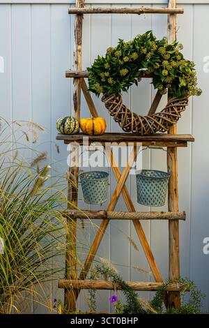 Herbstgartenanordnung mit einer rustikalen Holzleiter mit Kränzen, Miniatur-Kürbissen und verschiedenen blühenden Pflanzen in Körben und Töpfen, Crea Stockfoto