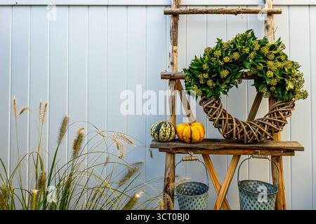 Herbstgartenanordnung mit einer rustikalen Holzleiter mit Kränzen, Miniatur-Kürbissen und verschiedenen blühenden Pflanzen in Körben und Töpfen, Crea Stockfoto