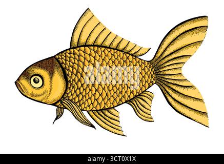 Figur Fisch in grafischer Form, Punkte und Linien. Eine tolle Figur für ein Tattoo Stock Vektor