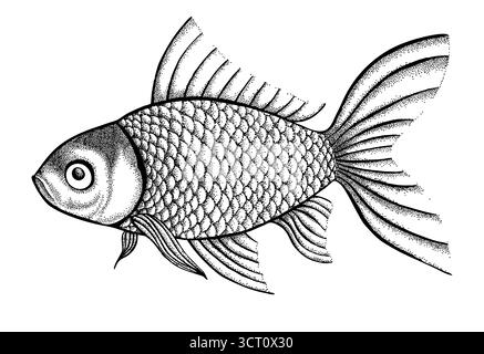 Figur Fisch in grafischer Form, Punkte und Linien. Eine tolle Figur für ein Tattoo Stock Vektor