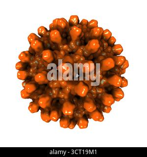 Kristallstruktur des humanen Hepatitis-B-Virus-Kapsids, Illustration. Stockfoto