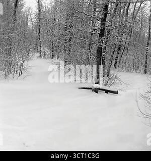 Ein ruhiges Schwarz-weiß-Archivfoto aus den 1970er Jahren, das eine ruhige Winterszene in der Mayaky Forestry, der Ukrainischen SSR, darstellt. Das Bild zeigt einen schneebedeckten Pfad, der sich durch einen Laubwald schlängelt, wo jeder Ast zart mit Schnee bedeckt ist. In einer Ansicht sieht man eine einfache Parkbank aus Holz, die halb in einer tiefen Schneelage begraben ist. Diese atmosphärische und minimalistische „Winterskizze“ fängt perfekt die tiefe Stille und die ruhige Schönheit der Wälder im tiefen Winter ein Stockfoto