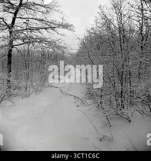 Ein ruhiges Schwarz-weiß-Archivfoto aus den 1970er Jahren, das eine ruhige Winterszene in der Mayaky Forestry, der Ukrainischen SSR, darstellt. Das Bild zeigt einen schneebedeckten Pfad, der sich durch einen Laubwald schlängelt, wo jeder Ast zart mit Schnee bedeckt ist. In einer Ansicht sieht man eine einfache Parkbank aus Holz, die halb in einer tiefen Schneelage begraben ist. Diese atmosphärische und minimalistische „Winterskizze“ fängt perfekt die tiefe Stille und die ruhige Schönheit der Wälder im tiefen Winter ein Stockfoto