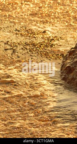 Water Sunset Shore: Die Wellen des Goldenen Ozeans werden sanft über Kieselsteine gespült und erzeugen in der Abenddämmerung ein glitzerndes Bokeh. Stockfoto