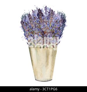 Blühender Lavendel lavandula Blumenstrauß in Metall Cachepot Eimer, Spitzenrand, Provence Boho. Isolierte Illustration, handgezeichnet in Aquarell. Florist Stockfoto