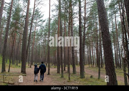 Kleine Figuren von Mann und Kind, die an einem bewölkten Tag in einem hohen Kiefernwald spazieren gehen Stockfoto