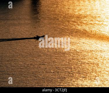 Ein einsames Boot gleitet über das goldene Meer von Mokpo, Südkorea, und hinterlässt ein sanftes Licht, während sich das Licht des Sonnenuntergangs auf dem ruhigen, glitzernden Wasser reflektiert. Stockfoto
