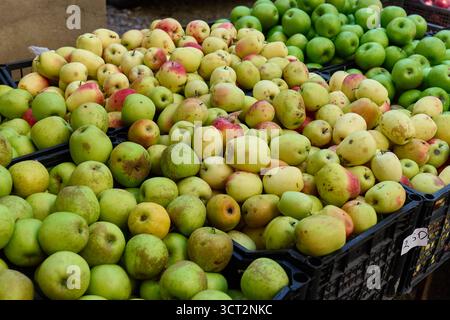 Bunte Äpfel in Körben auf dem Markt angeordnet Stockfoto