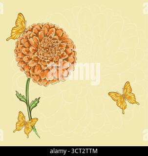 Wunderschöne Chrysanthemen-Blume mit fliegenden Schmetterlingen Stock Vektor