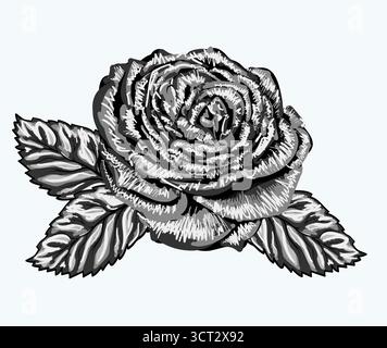 Schöne Schwarzweiß-Rose isoliert auf weißem Hintergrund Stock Vektor