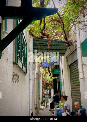 Gasse in der Nähe des Café Raisin in der alten Medina von Tunis, Tunesien. Weinberge, weiße Wände und ruhiges Straßenleben. Aufgenommen am 22. September 2025. Stockfoto