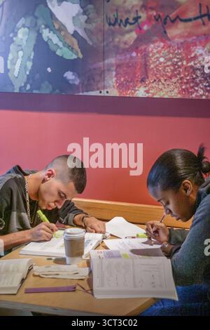 Miami Florida, Coral Gables, Studenten Bildung Schüler Jugend, Hausaufgaben machen in Starbuck's, Cafe, Starbucks Coffee, Barista, Cafe, Restaurants Stockfoto