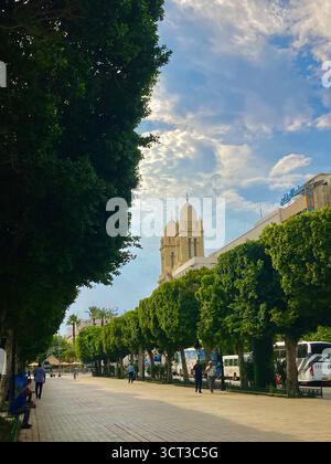 Von Bäumen gesäumter Fußweg entlang der Avenue Habib Bourguiba im Zentrum von Tunis, Tunesien. Urbanes Grün, Kathedrale im Hintergrund. 22. September 2025 Stockfoto