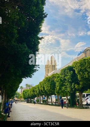 Von Bäumen gesäumter Fußweg entlang der Avenue Habib Bourguiba im Zentrum von Tunis, Tunesien. Urbanes Grün, Kathedrale im Hintergrund. 22. September 2025 Stockfoto
