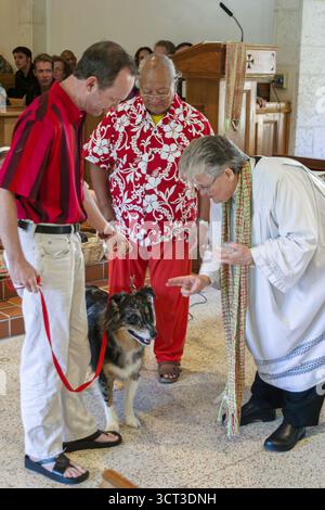 Miami Beach, Florida, St. John's on the Lake United Methodist Church, Haustier Tiere Tiere Segen innerhalb der inneren Gemeinde, Frau weibliche Predigerin Stockfoto