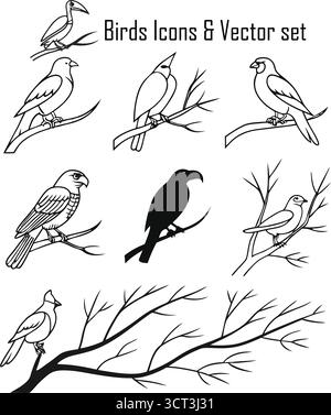 Vogelsymbole Set – Fliegende Vogelsilhouetten, Wildtiere und Naturvektoren Stock Vektor