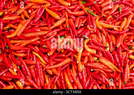 Kleine rote Paprika auf einem Markt auf Reunion Island Stockfoto