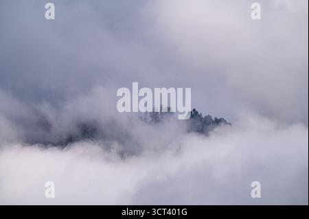 PÉREZ ZELEDÓN, PROVINZ SAN JOSÉ, COSTA RICA: Wolken sammeln sich über einem Kamm im Bergregenwald von Pérez Zeledón, Provinz San José, Costa Rica. Stockfoto