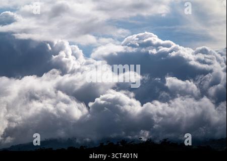 PÉREZ ZELEDÓN, PROVINZ SAN JOSÉ, COSTA RICA: Sturmwolken sammeln sich über einem Kamm im Bergregenwald von Pérez Zeledón, Costa Rica. Stockfoto