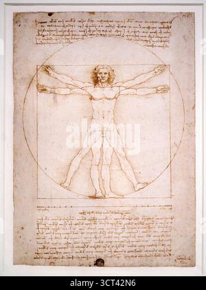 Leonardo da Vinci (1452-1519), Proportional Study of the Male Body (Vitruvian man), 1498, Metalpoint, Stift und Tinte, Berührung von Aquarellen auf weißem PA Stockfoto