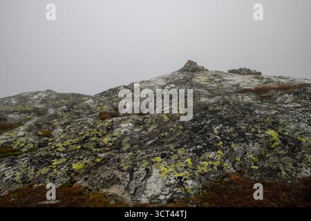 Ein Mensch machte einen Haarmarker in der Ferne an einem nebeligen Morgen in Norwegen. Schöner Stein im unteren Teil des Bildes. Hintergrund vollständig abgedeckt in f Stockfoto
