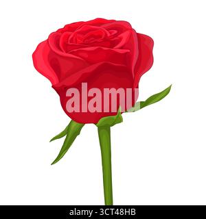 schöne rote rose isoliert auf weißem Hintergrund Stock Vektor