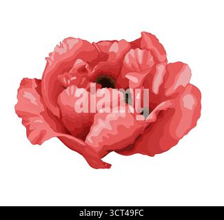 Schöne Pflanze Paeonia arborea (Baum Pfingstrose) weiße Blume isoliert auf weiß. Stock Vektor