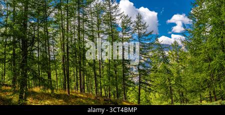 Von Cervinia nach Cheneil, einer charmanten Stadt in der Gemeinde Valtournenche Stockfoto
